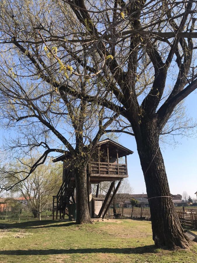 La Casa Sull'Albero Oasi Certosa Di Pavia Vila Borgarello Exterior foto