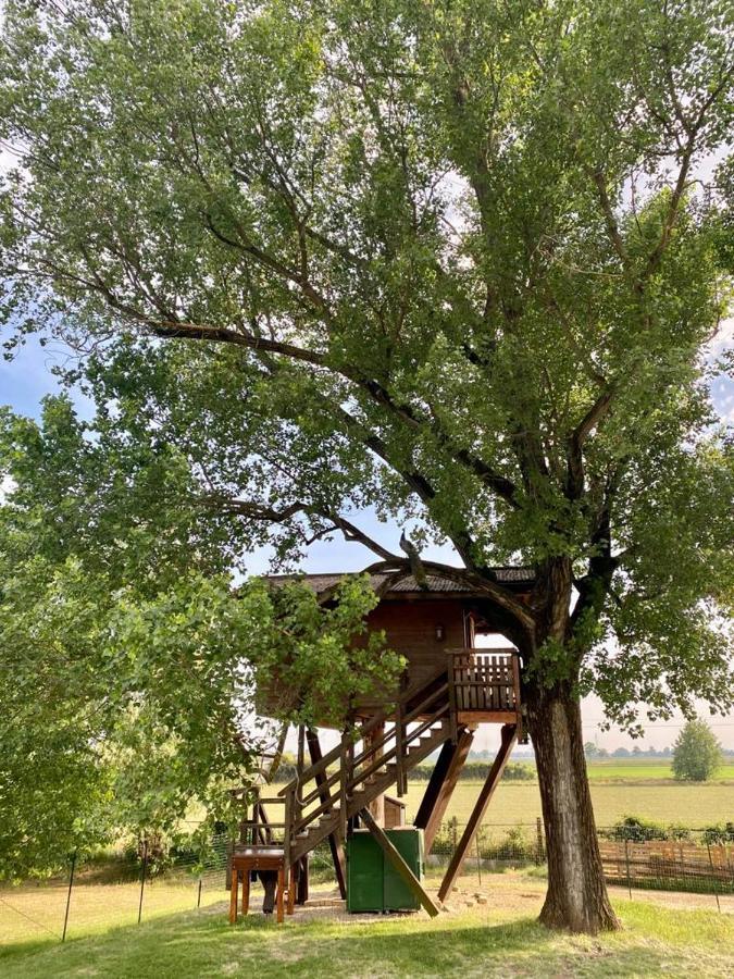 La Casa Sull'Albero Oasi Certosa Di Pavia Vila Borgarello Exterior foto