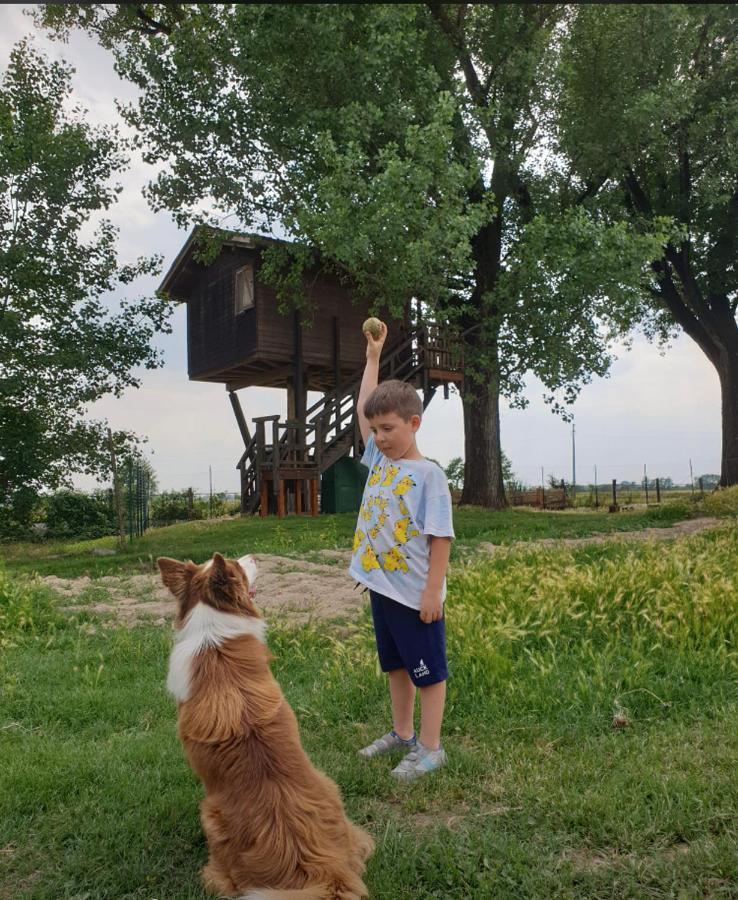 La Casa Sull'Albero Oasi Certosa Di Pavia Vila Borgarello Exterior foto