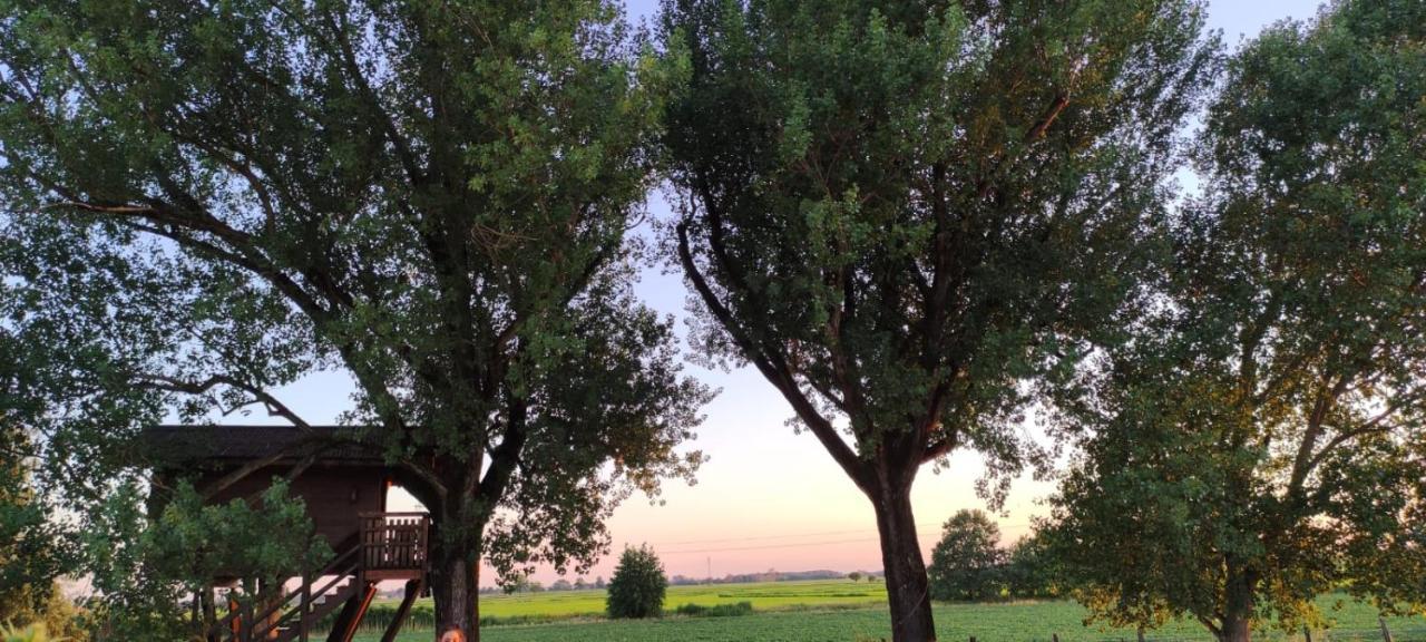 La Casa Sull'Albero Oasi Certosa Di Pavia Vila Borgarello Exterior foto