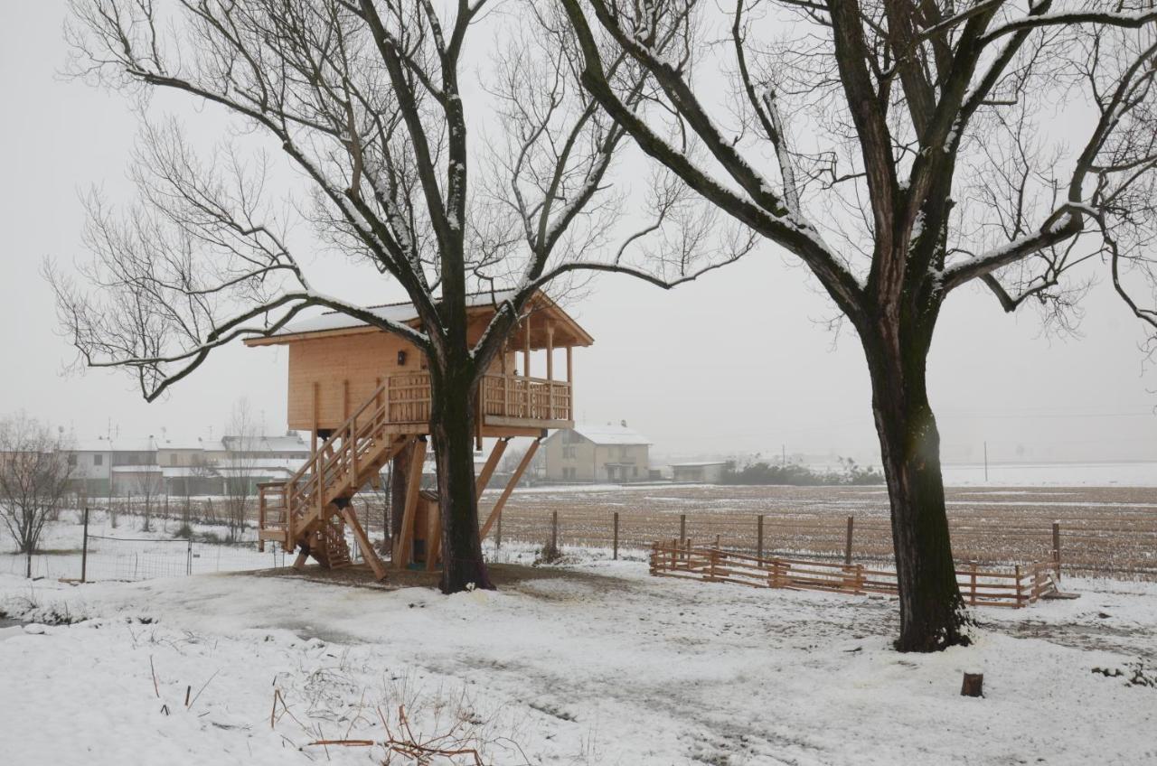 La Casa Sull'Albero Oasi Certosa Di Pavia Vila Borgarello Exterior foto