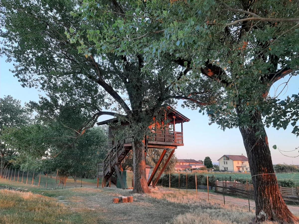 La Casa Sull'Albero Oasi Certosa Di Pavia Vila Borgarello Exterior foto