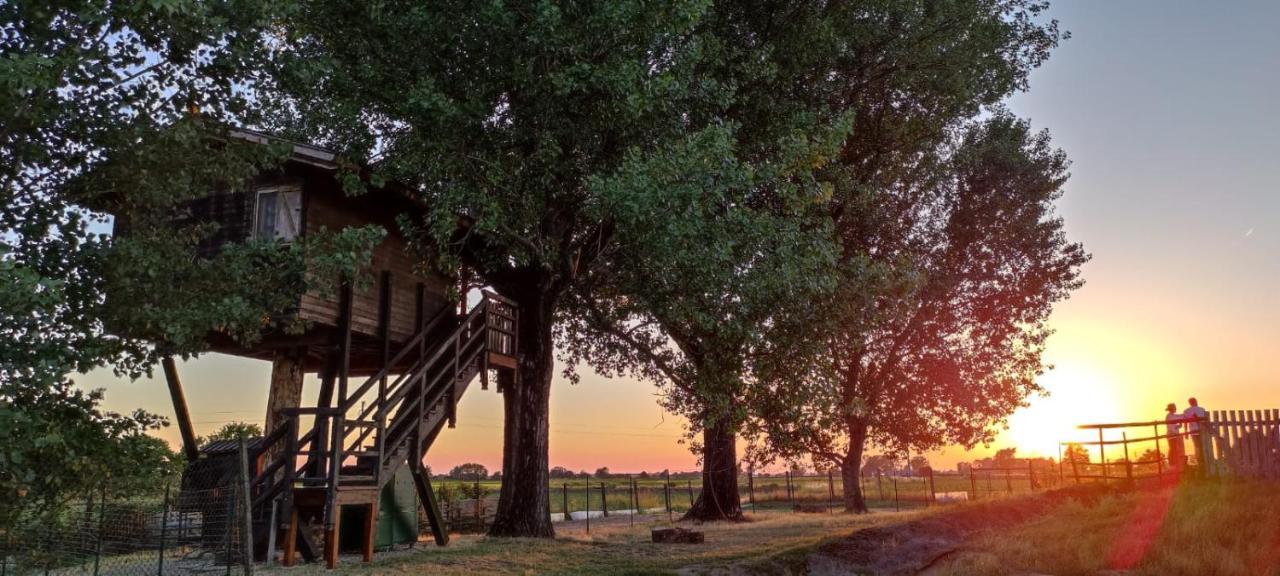 La Casa Sull'Albero Oasi Certosa Di Pavia Vila Borgarello Exterior foto